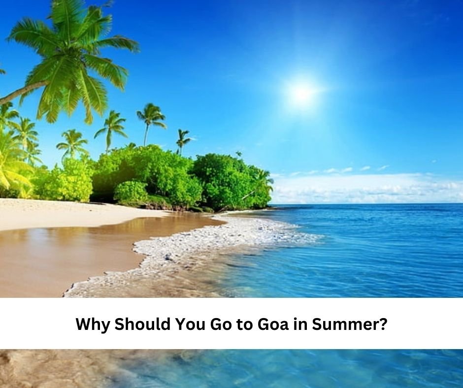 Why Should You Go To Goa In Summer Online Tech Daily